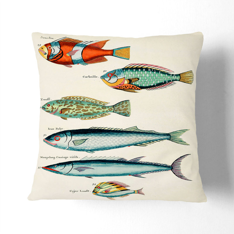 East Indies Fish Illustrations Fol. 7 by Louis Renard Cushion with Filling, Black, 40cm H x 40cm W x 15cm D