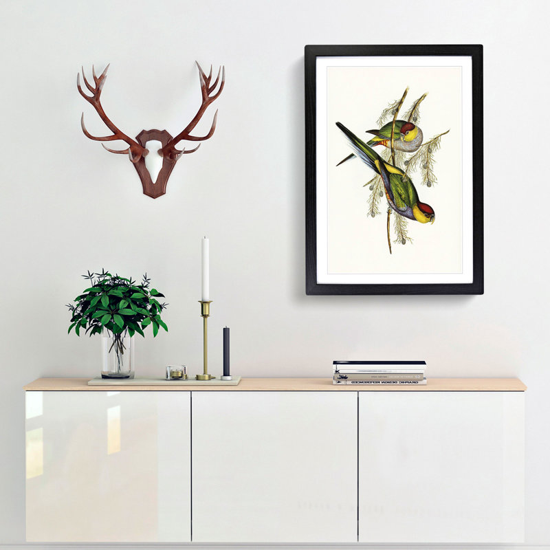 Red-Capped Parakeets by Elizabeth Gould - Picture Frame Painting Print, 36cm H x 27cm W x 2cm D, Black Framed