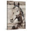 « picolinoe cheval » par irena orlov, reproduction d’art sur toile tendue-19145915