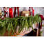 Garland-467968776