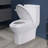 One-Piece Toilet 1.1/1.6 GPF Dual Flush Elongated With Chair Height Toilet In White Soft Close Seat Included