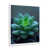White Single Picture Framed Canvas