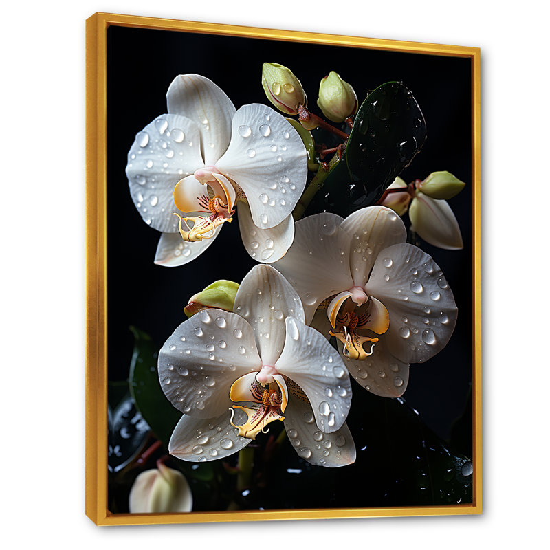 Orchidées blanches pétales d'élégance I, H 32 po x l 24 po x P 1 po, Cadre flottant doré