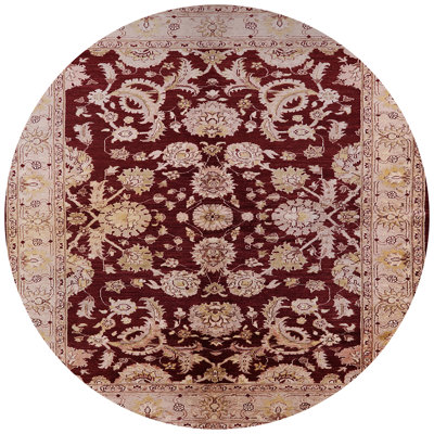 Downton Oriental Indoor Rug