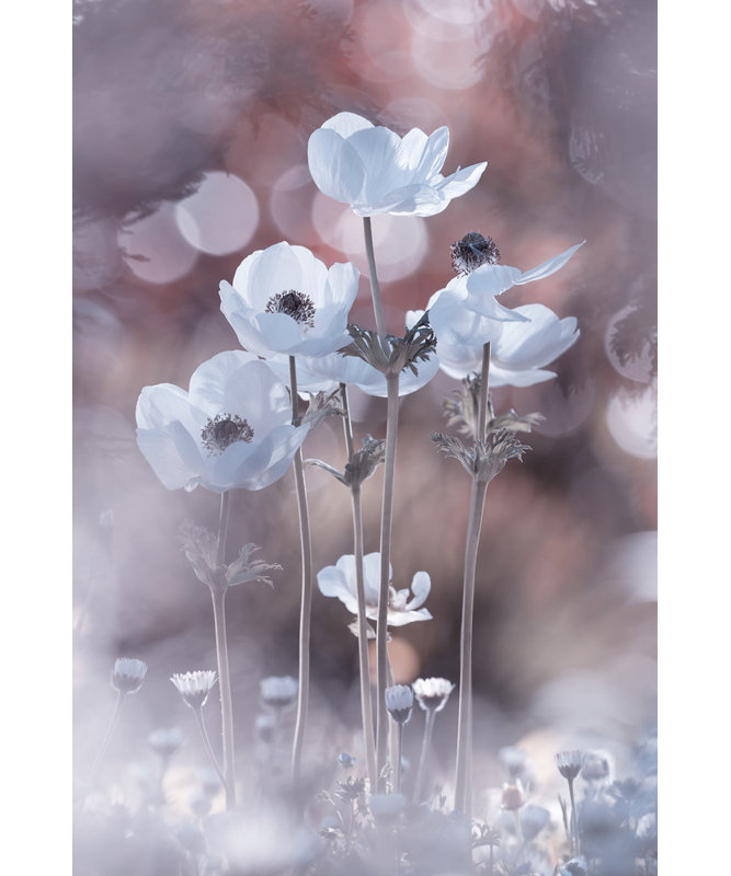 Wrapped Canvas Print, 81.28 cm H x 121.92 cm W