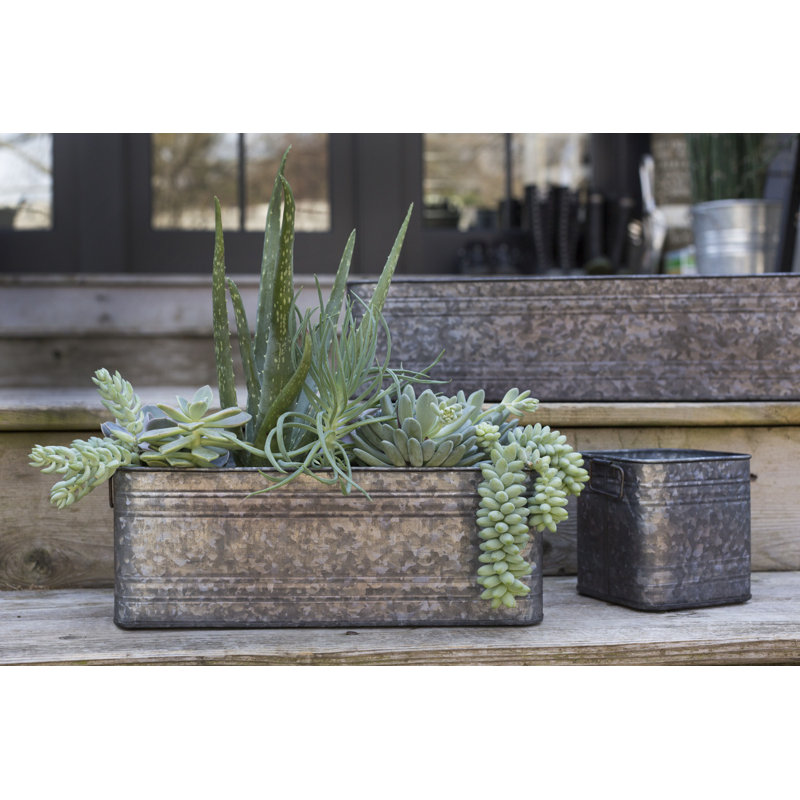 Pot à fleurs Reymone, H 5 po x l 14 po x P 5 po