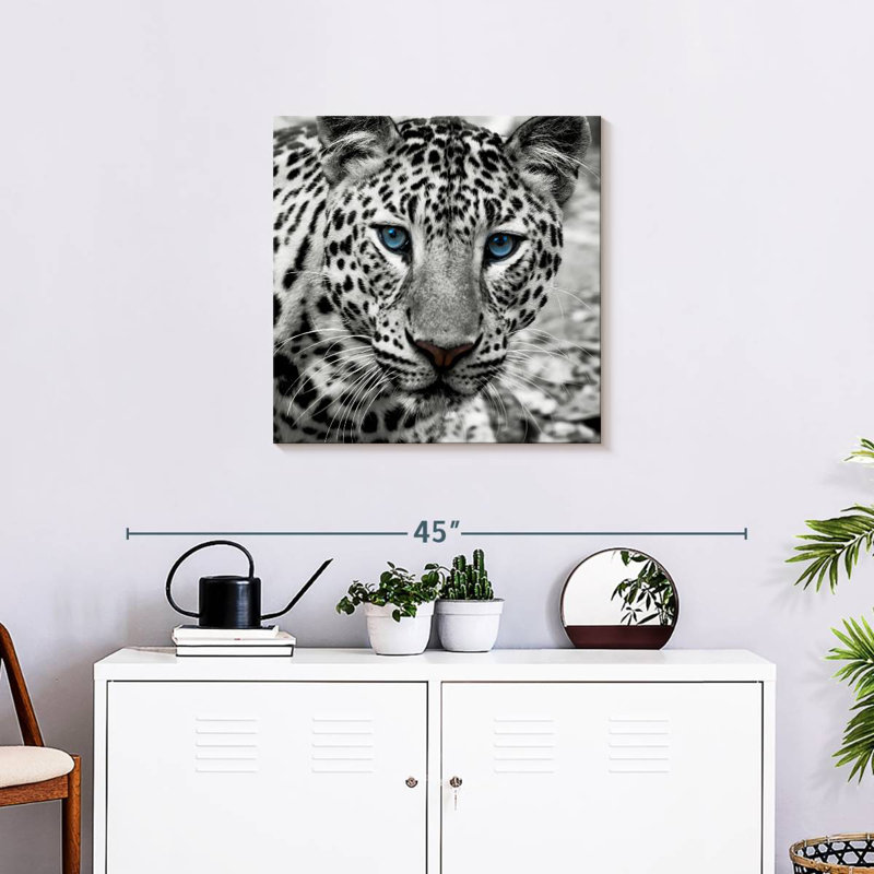 Brampt Zoo Leopard, 24" H x 24" W