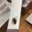 Customer photo 2 of 3