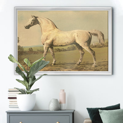 " Cassells Thoroughbred II "