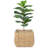 Mckenna Pot Planter-1201588322