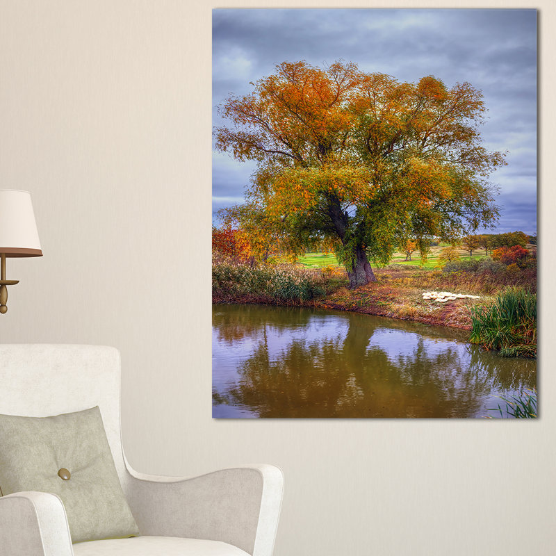 Willow Near Pond - Reproduction de photo sur toile tendue, H 40 po x l 30 po x P 1 po