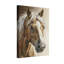 Portrait d'animaux avec crinière blanche et manteau brun-1756048977