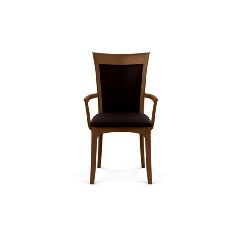 Morgan 19.25'' H Upholstered Armchair, Saddle Cherry, Ebony