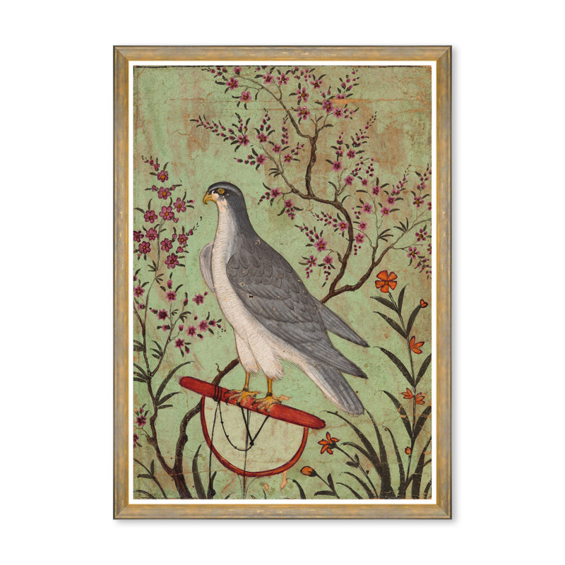 FALCON ON A PERCH