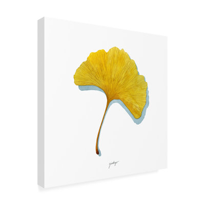 Etude bolognaise «Golden Ginkgo II» par Grace Popp