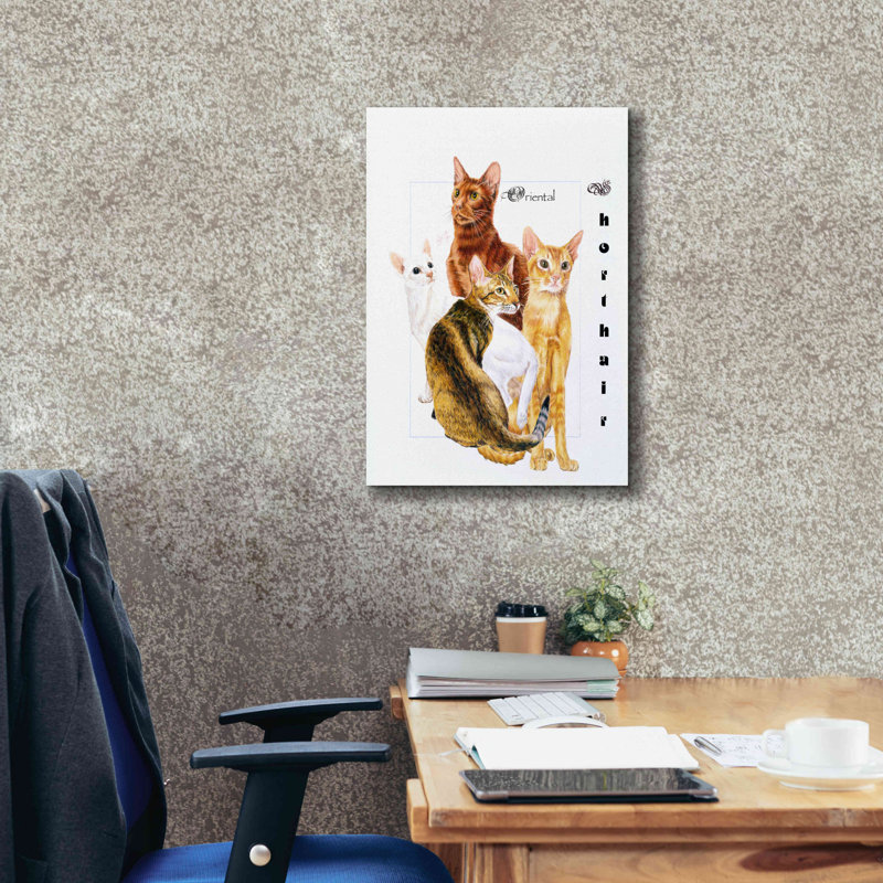 Red Barrel Studio «Oriental Shorthair» par Barbara Keith, art mural sur toile, 18 po x 26 po