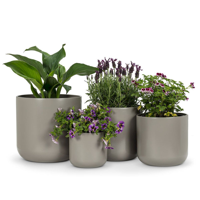 Pot à fleurs en ciment Ilmari, H 5 po x l 5 po x P 5 po, gris
