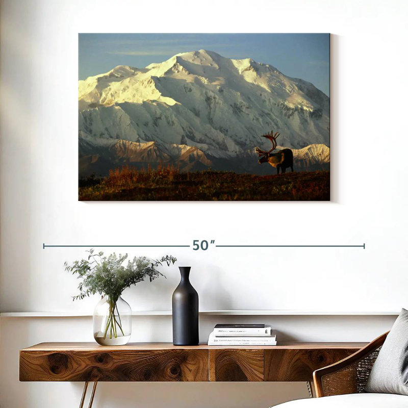 Renne Alvord dans le parc Denali, H 26 po x l 39 po