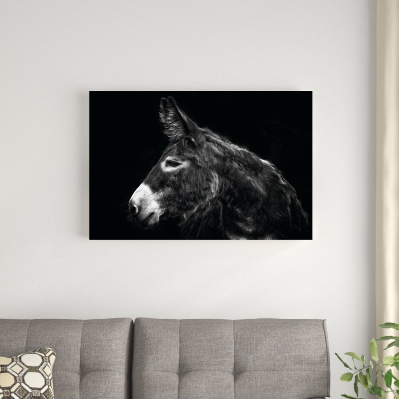 «Donkey Portrait I» par PHBurchett - photographie sur toile tendue, H 24 po x l 36 po