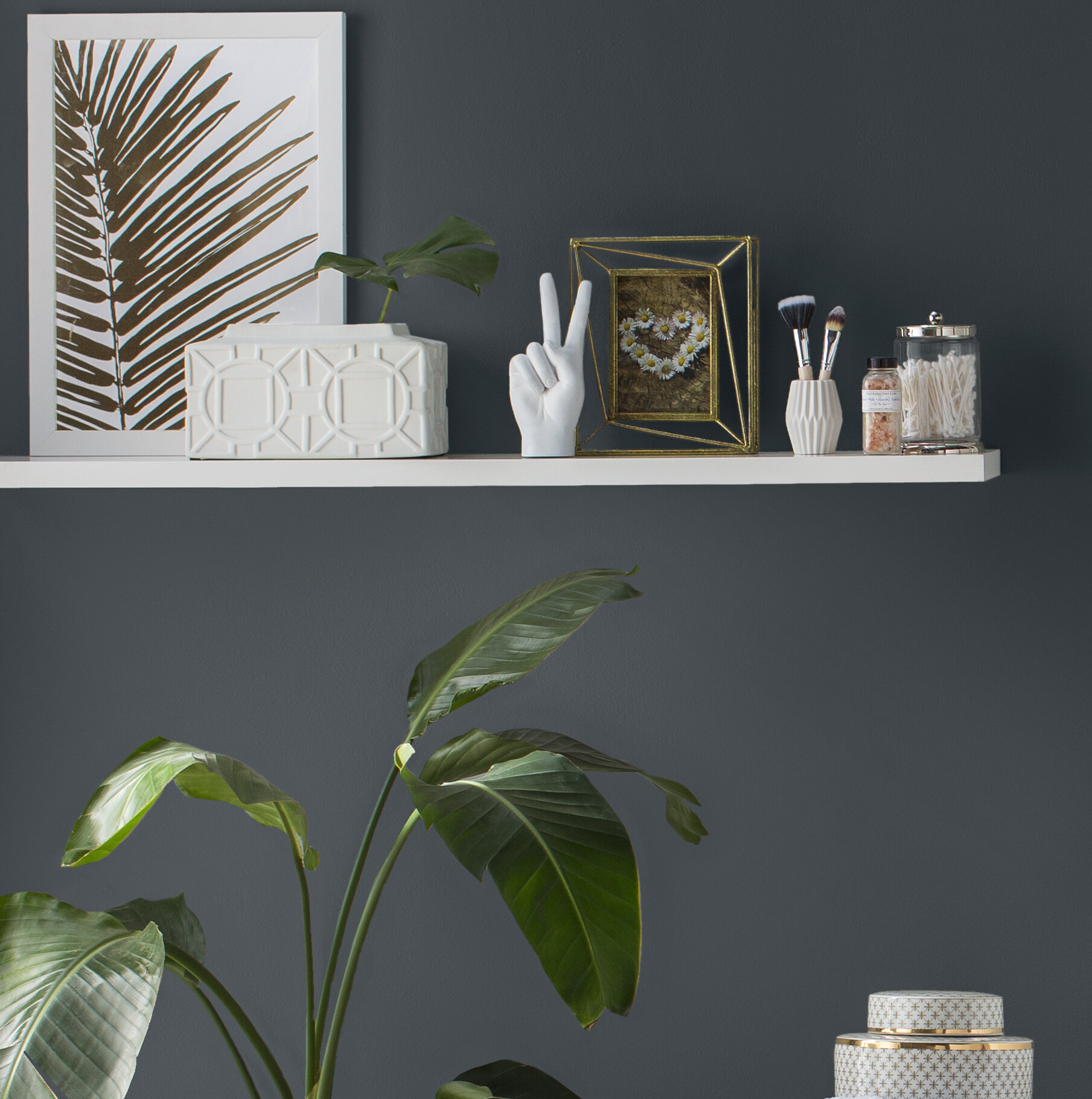 Wayfair  Black Floating Wall & Display Shelves You'll Love in 2024