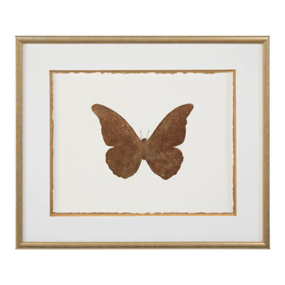Papillon chatoyant IV