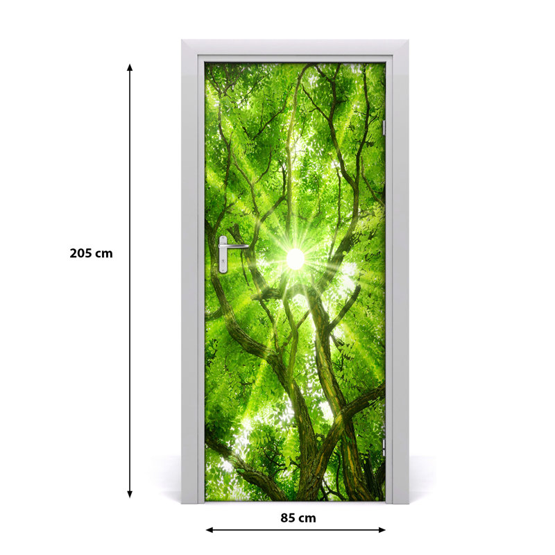 Upper Branches Of A Tree Door Decal