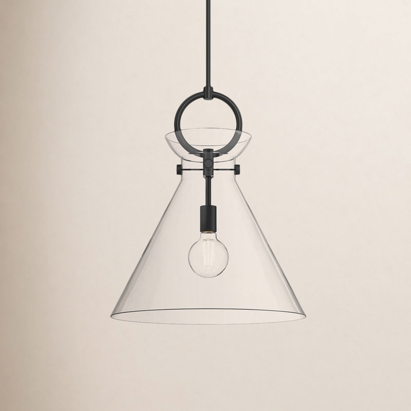 Luminaire suspendu conique à 1 lumière Tiney, Noir mat / transparent, H 21,75 po x l 18 po x P 18 po