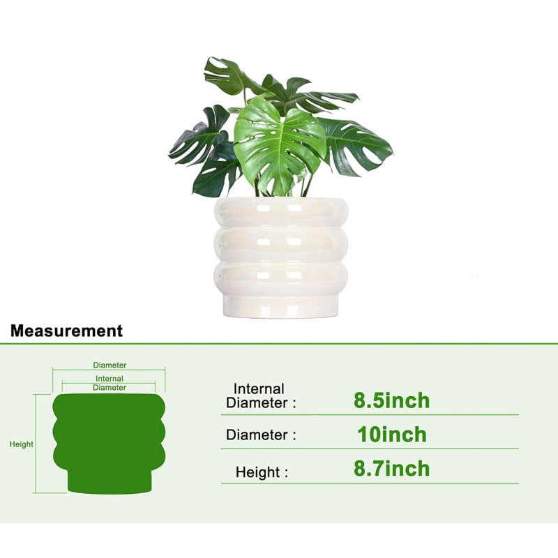 Ceramic Pot Planter