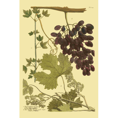 Raisins Weinmann I