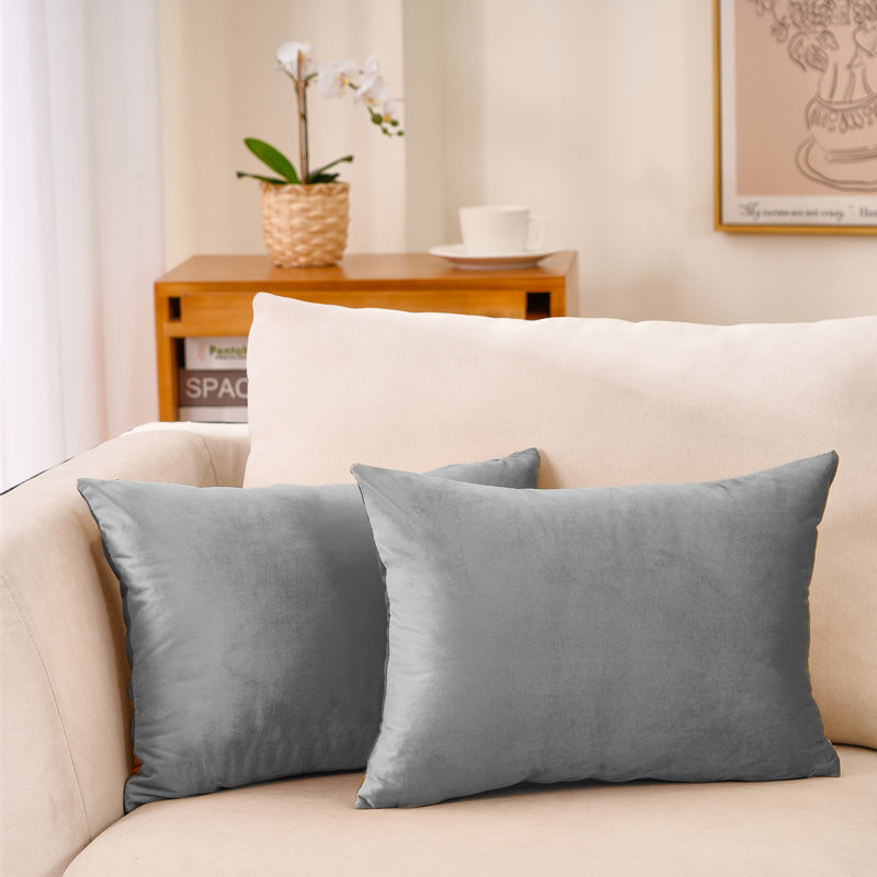 Housse de coussin en velours (ensemble de 2 housses de coussin seulement), Gris clair