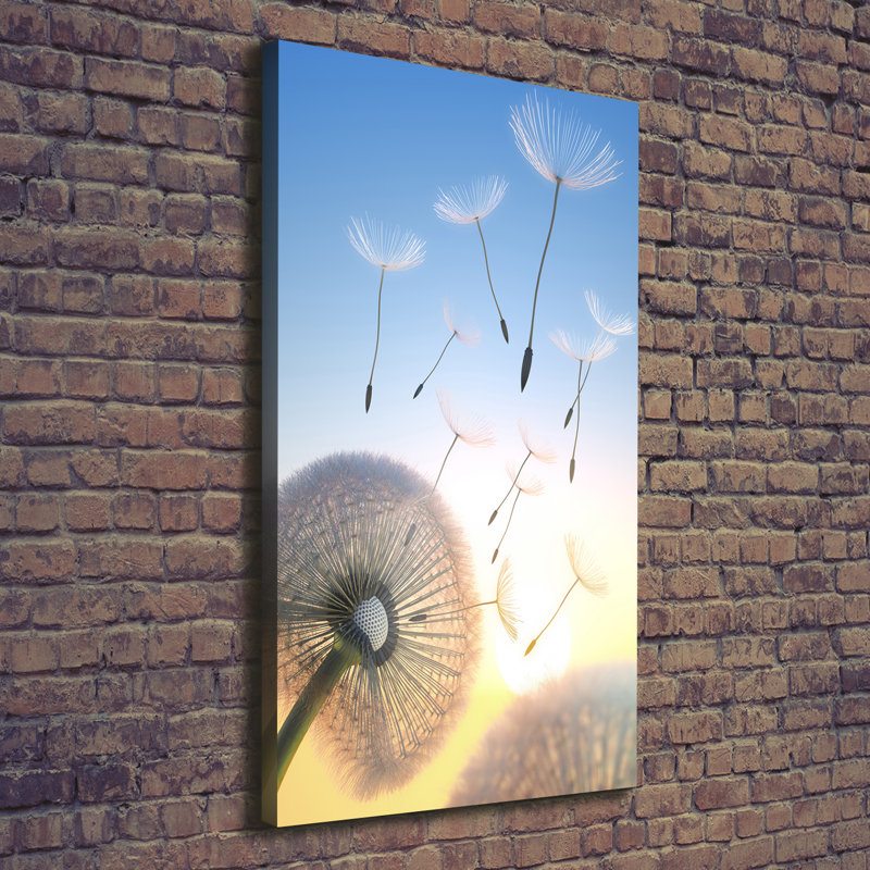 Dandelion - Wrapped Canvas Print