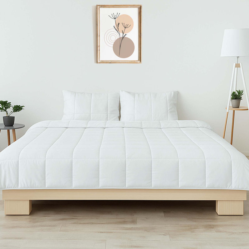 Ensemble d'édredon en soie Vegan Eucalyptus Cooling, Grand édredon et 2 taies décoratives standard