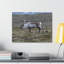 No Frame Print on Canvas-746242617
