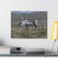 Wall Art on Canvas-1180259404