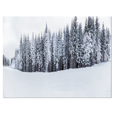 " Black And White Snow-Capped Hills "