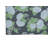 Hydrangea Non Slip Outdoor Rug-1464768043
