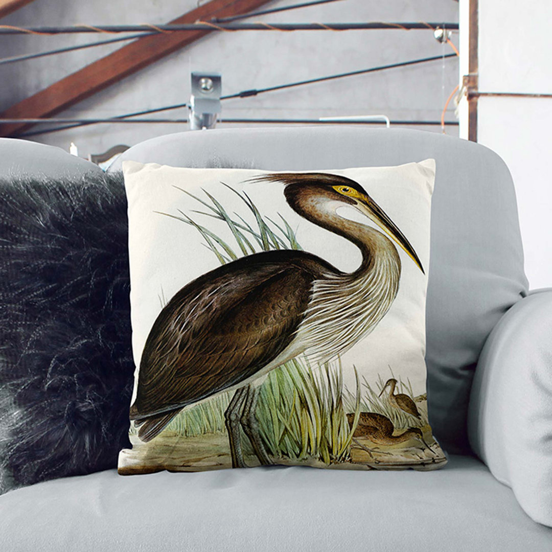 Great-Billed Heron by Elizabeth Gould Cushion with Filling
