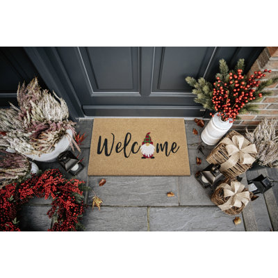 45 W x 70 L cm Non-Slip Indoor Outdoor Door Mat