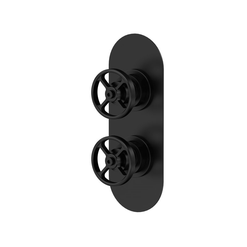 Industrial Valves Double Concealed Diverter Shower Valve, Matt Black