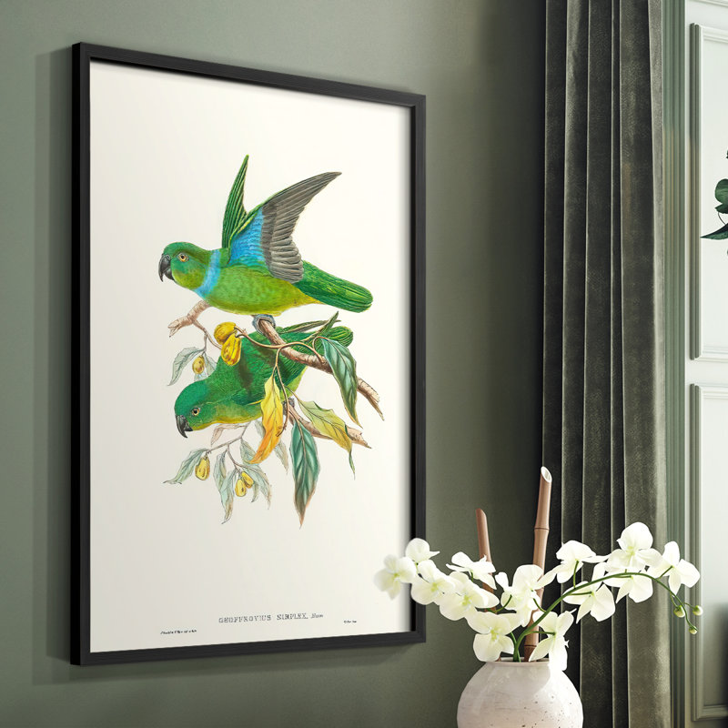 «Lime & Cerulean Parrots II», reproduction encadrée - bois massif, H 28 po x l 22 po, Cadre simple noir