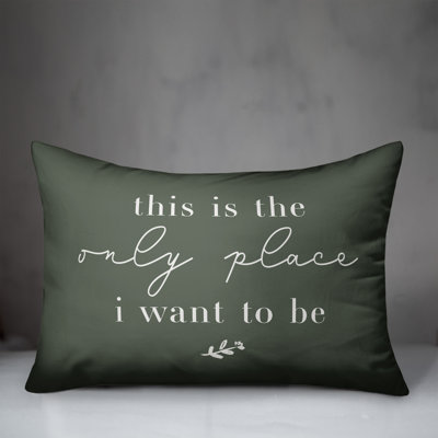 Polyester Indoor/Outdoor Throw Pillow