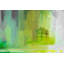 Parvez Taj - Wrapped Canvas Print-16674216