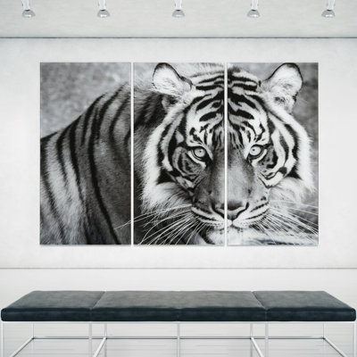 Tigre ABC - Ensemble de 3 peintures sans cadre sur verre