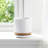 Balmer Ceramic Saucer Planter with Ribbed Texture-2120804517-2031590491