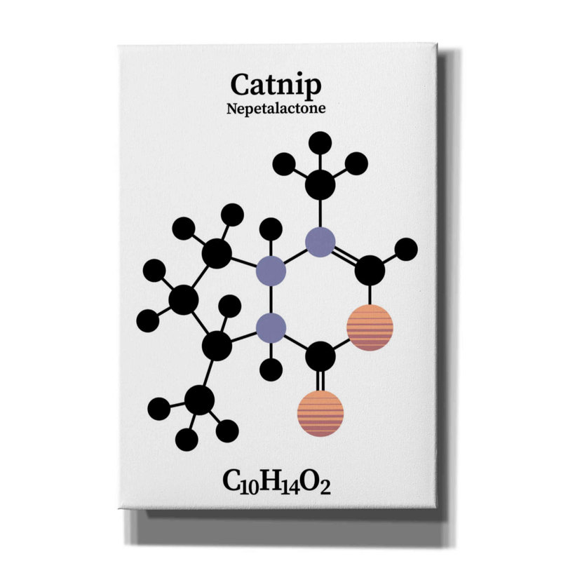 " Catnip Molecule " by Maxim, 26" H x 18" W x 0.75" D