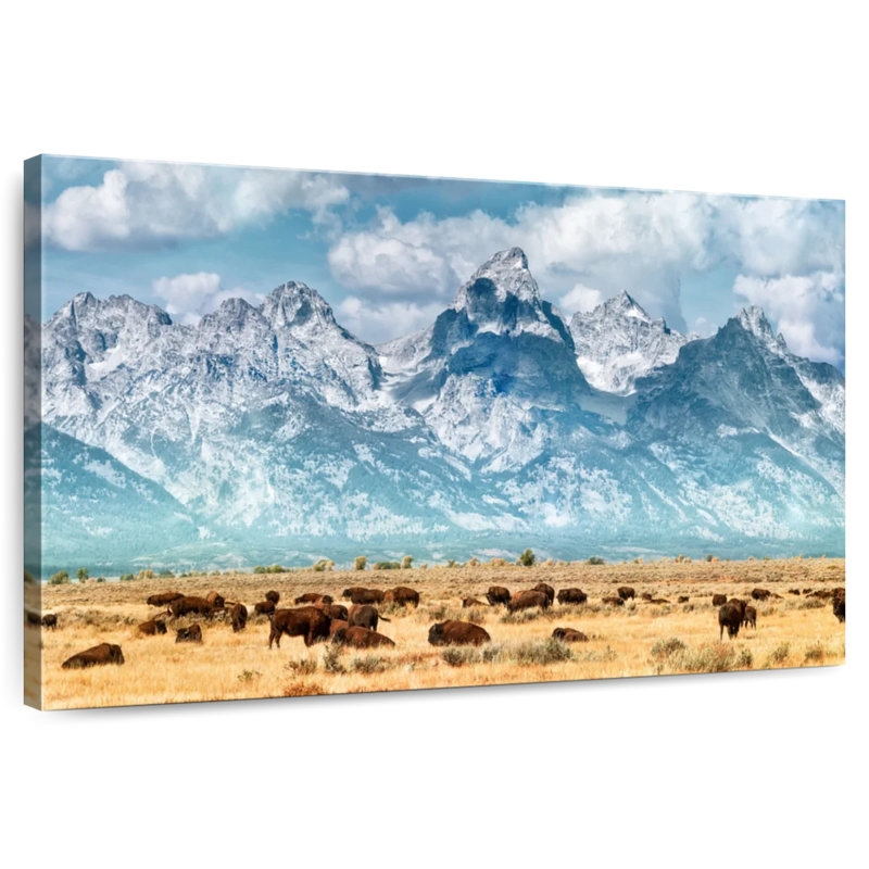 Bison de Yellowstone, H 32 po x l 48 po