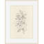Dog Rose 1 Print-1660033408