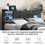 Upholstered Bed