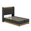 Upholstered Bed, 360 Surround LED Function, Buttons/Apps/Remote Control, Hydraulic Storage Bed With USB Type-C Charging-106601945