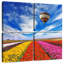Alvord ballon au-dessus d'un champ de fleurs-109039865